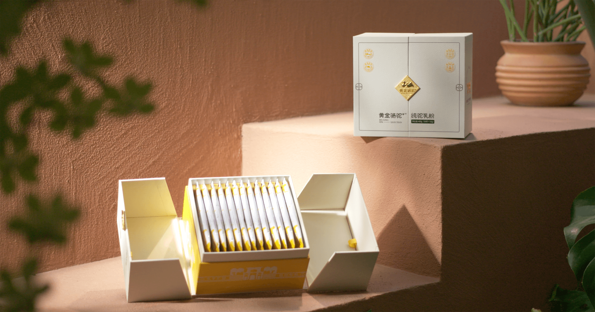 定位小众高端乳粉，AG贵宾会推出驼奶品牌“黄金骆驼+”，角逐乳品新市场！